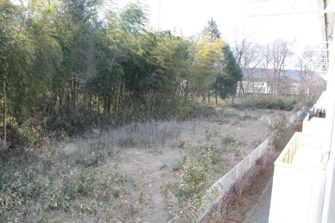 Other view from back window