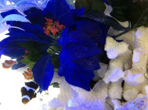 写真 H.24-12-13 20 18 23